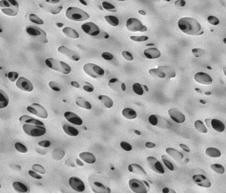 1648789509243115Ra5Z.png 图片5.png